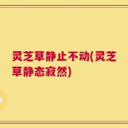 灵芝草静止不动(灵芝草静态寂然)