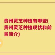 贵州灵芝种植有哪些(贵州灵芝种植现状和前景简介)