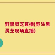 野黑灵芝直播(野生黑灵芝现场直播)