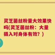 灵芝菌丝粉量大效果快吗(灵芝菌丝粉：大量摄入对身体有效？)