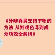 《分辨真灵芝孢子粉的方法 从外观色泽到成分功效全解析》
