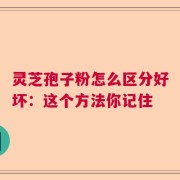 灵芝孢子粉怎么区分好坏：这个方法你记住