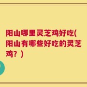 阳山哪里灵芝鸡好吃(阳山有哪些好吃的灵芝鸡？)