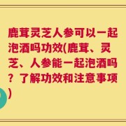 鹿茸灵芝人参可以一起泡酒吗功效(鹿茸、灵芝、人参能一起泡酒吗？了解功效和注意事项)