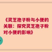 《灵芝孢子粉与小便的关联：探究灵芝孢子粉对小便的影响》