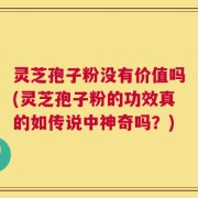 灵芝孢子粉没有价值吗(灵芝孢子粉的功效真的如传说中神奇吗？)