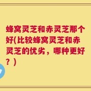 蜂窝灵芝和赤灵芝那个好(比较蜂窝灵芝和赤灵芝的优劣，哪种更好？)