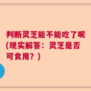 判断灵芝能不能吃了呢(现实解答：灵芝是否可食用？)
