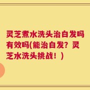 灵芝煮水洗头治白发吗有效吗(能治白发？灵芝水洗头挑战！)
