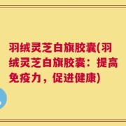 羽绒灵芝白旗胶囊(羽绒灵芝白旗胶囊：提高免疫力，促进健康)