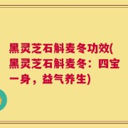 黑灵芝石斛麦冬功效(黑灵芝石斛麦冬：四宝一身，益气养生)