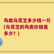 鸟类乌灵芝多少钱一斤(乌灵芝的鸟类价格是多少？)