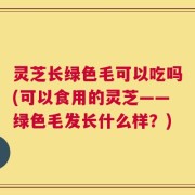 灵芝长绿色毛可以吃吗(可以食用的灵芝——绿色毛发长什么样？)