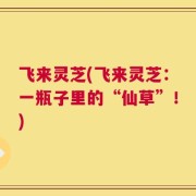 飞来灵芝(飞来灵芝：一瓶子里的“仙草”！)