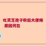 吃灵芝孢子粉后大便稀 原因何在
