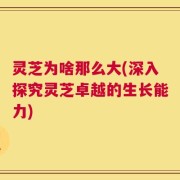 灵芝为啥那么大(深入探究灵芝卓越的生长能力)