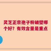 灵芝正宗孢子粉破壁哪个好？有效含量是重点