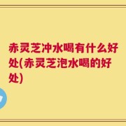 赤灵芝冲水喝有什么好处(赤灵芝泡水喝的好处)