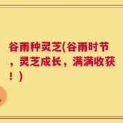 谷雨种灵芝(谷雨时节，灵芝成长，满满收获！)