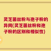 灵芝菌丝粉与孢子粉的异同(灵芝菌丝粉和孢子粉的区别和相似性)