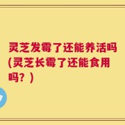 灵芝发霉了还能养活吗(灵芝长霉了还能食用吗？)