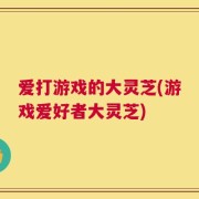 爱打游戏的大灵芝(游戏爱好者大灵芝)