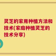灵芝的家用种植方法和技术(家庭种植灵芝的技术分享)