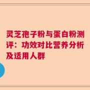 灵芝孢子粉与蛋白粉测评：功效对比营养分析及适用人群