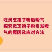 吃灵芝孢子粉后嗳气 探究灵芝孢子粉引发嗳气的原因及应对方法