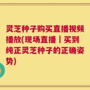 灵芝种子购买直播视频播放(现场直播｜买到纯正灵芝种子的正确姿势)