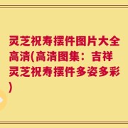 灵芝祝寿摆件图片大全高清(高清图集：吉祥灵芝祝寿摆件多姿多彩)