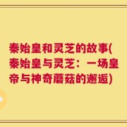 秦始皇和灵芝的故事(秦始皇与灵芝：一场皇帝与神奇蘑菇的邂逅)