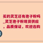 买的灵芝还有孢子粉吗_灵芝孢子粉现货供应，品质保证，欢迎选购