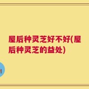 屋后种灵芝好不好(屋后种灵芝的益处)