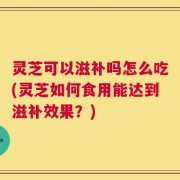 灵芝可以滋补吗怎么吃(灵芝如何食用能达到滋补效果？)