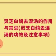 灵芝白鸽去湿汤的作用与禁忌(灵芝白鸽去湿汤的功效及注意事项)
