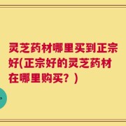 灵芝药材哪里买到正宗好(正宗好的灵芝药材在哪里购买？)
