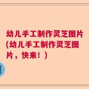 幼儿手工制作灵芝图片(幼儿手工制作灵芝图片，快来！)