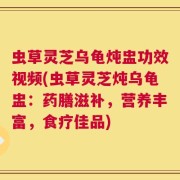虫草灵芝乌龟炖盅功效视频(虫草灵芝炖乌龟盅：药膳滋补，营养丰富，食疗佳品)