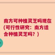 南方可种植灵芝吗现在(可行性研究：南方适合种植灵芝吗？)