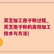 灵芝加工孢子粉过程_灵芝孢子粉的高效加工技术与方法)