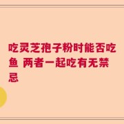 吃灵芝孢子粉时能否吃鱼 两者一起吃有无禁忌