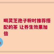 喝灵芝孢子粉时推荐搭配的茶 让养生效果加倍