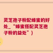 灵芝孢子粉配蜂蜜的好处_“蜂蜜搭配灵芝孢子粉的益处”)