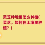 灵芝种地里怎么种植(灵芝，如何在土壤里种植？)