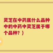 灵芝在中药属什么品种中的中药中灵芝属于哪个品种？)