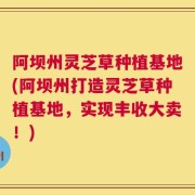 阿坝州灵芝草种植基地(阿坝州打造灵芝草种植基地，实现丰收大卖！)