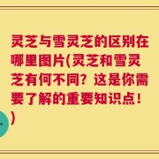 灵芝与雪灵芝的区别在哪里图片(灵芝和雪灵芝有何不同？这是你需要了解的重要知识点！)