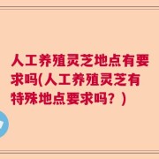 人工养殖灵芝地点有要求吗(人工养殖灵芝有特殊地点要求吗？)