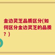金边灵芝品质区分(如何区分金边灵芝的品质？)